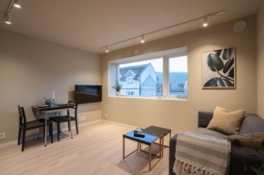 Comfy and elegant apartment